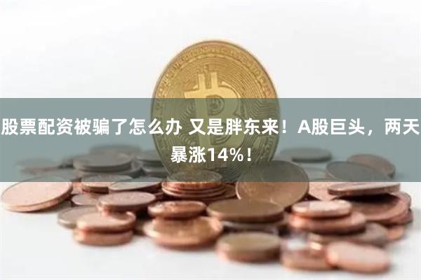 股票配资被骗了怎么办 又是胖东来！A股巨头，两天暴涨14%！