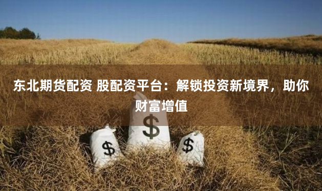 东北期货配资 股配资平台：解锁投资新境界，助你财富增值