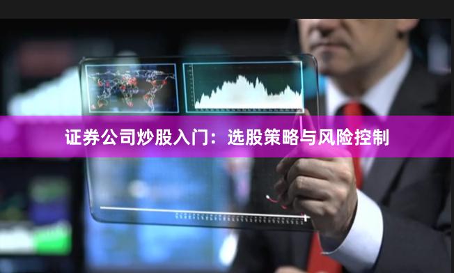 证券公司炒股入门：选股策略与风险控制
